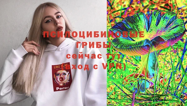 скорость Алексеевка