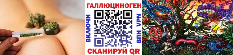 Галлюциногенные грибы Psilocybe  Чекалин 